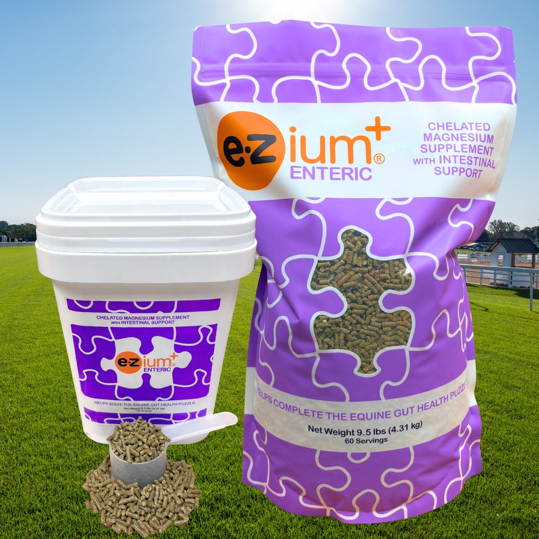 EZium+ Enteric