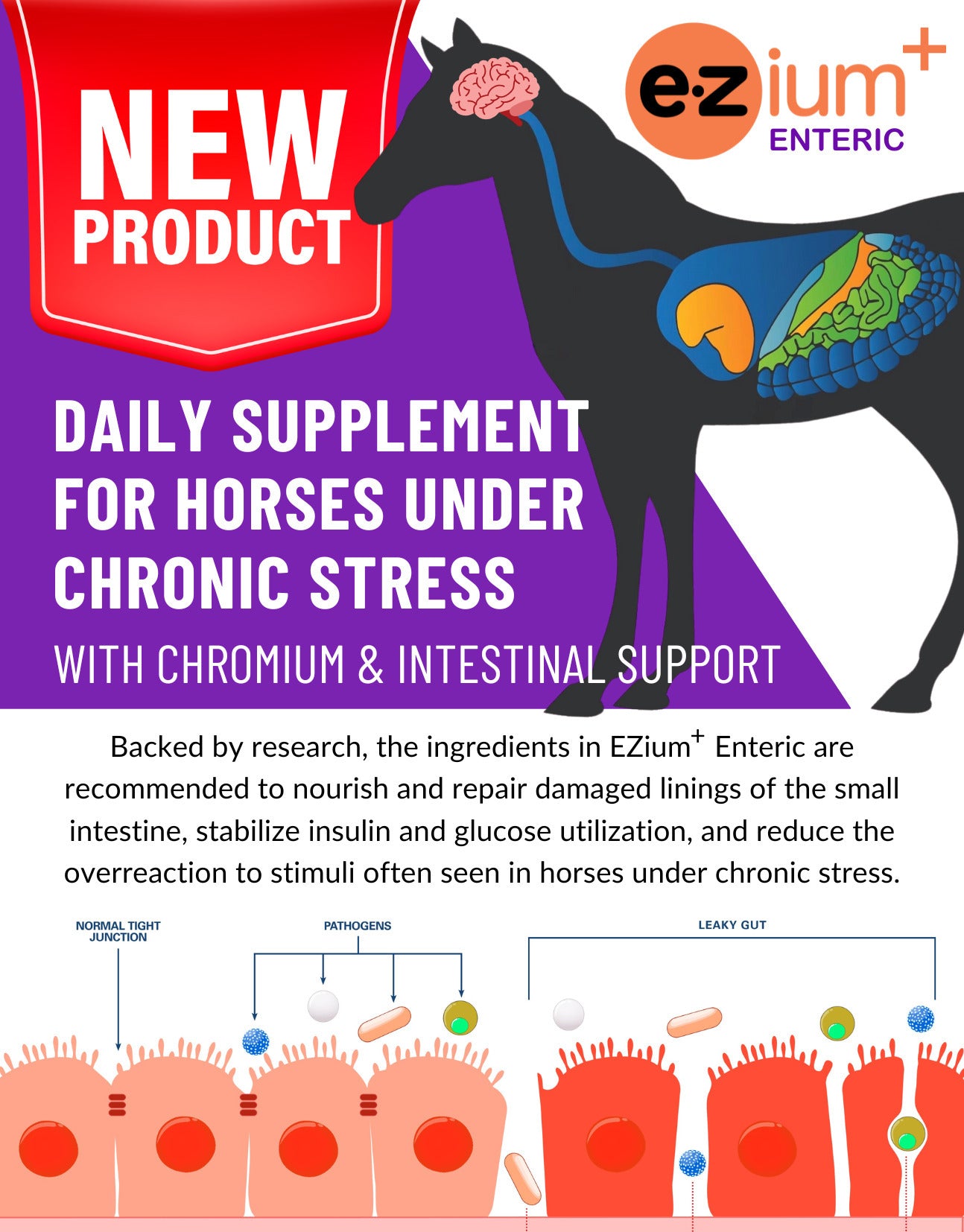 EZium+ Enteric Trial Size Bag