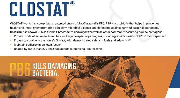 CLOSTAT® Bacillus subtilis PB6 balances gut microbes and inhibits equine pathogens. Safe for foals and adults, feed-stable.