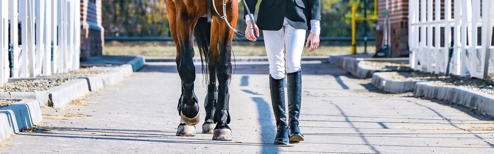 Person with equestrian attire on a path walking a horse 
