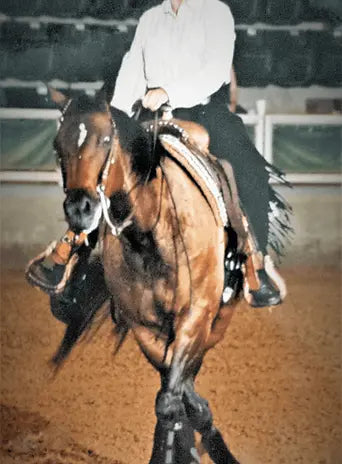 Person riding a horse in an indoor arena