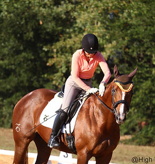 Person riding a horse in an outdoor setting with trees in the background