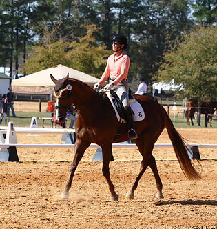 Person riding a horse in an equestrian setting with trees and other people in the background.