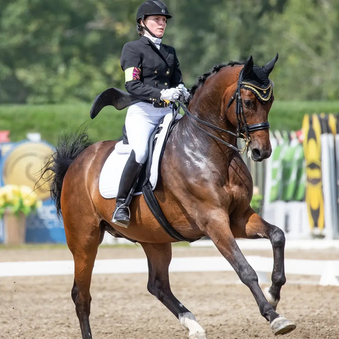 Equestrian rider on a brown horse in an outdoor arena.
