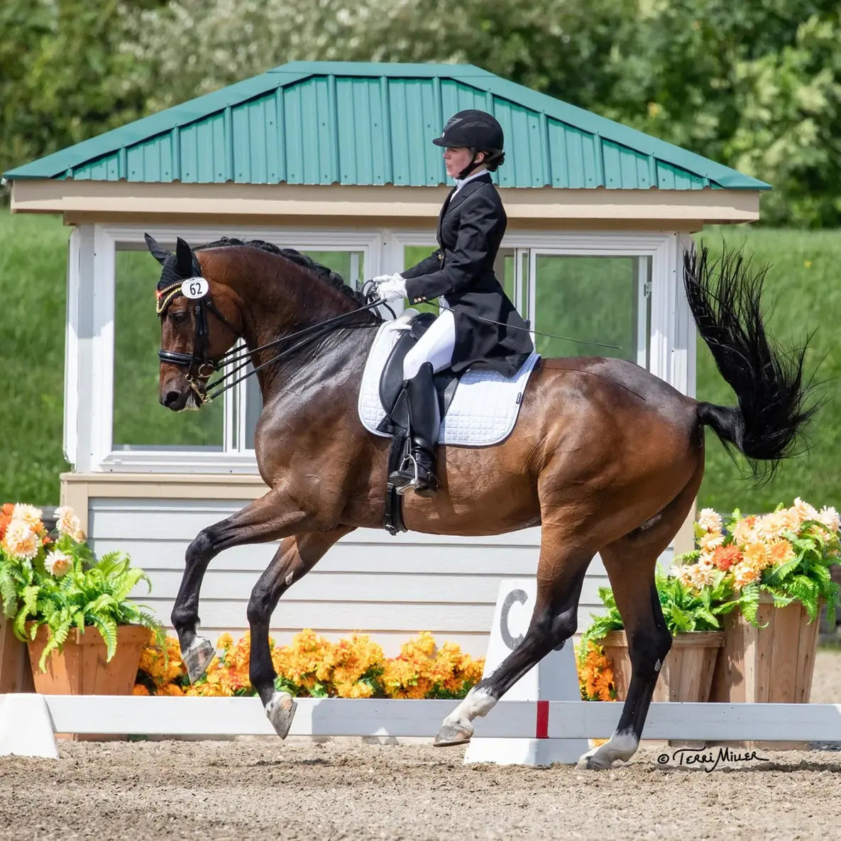 Horse and rider in equestrian competition with floral decorations and a wooden shelter.