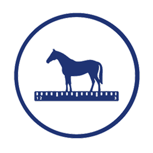Blue icon of a horse next to a ruler on a white background