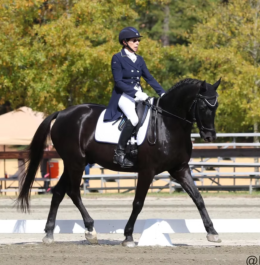 Equestrian rider on a black horse in an outdoor arena with trees in the background