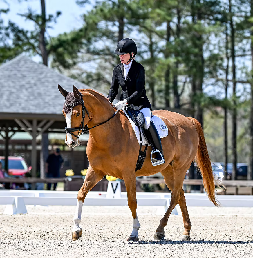Horse rider on a brown horse in an outdoor equestrian setting with trees and a gazebo in the background.