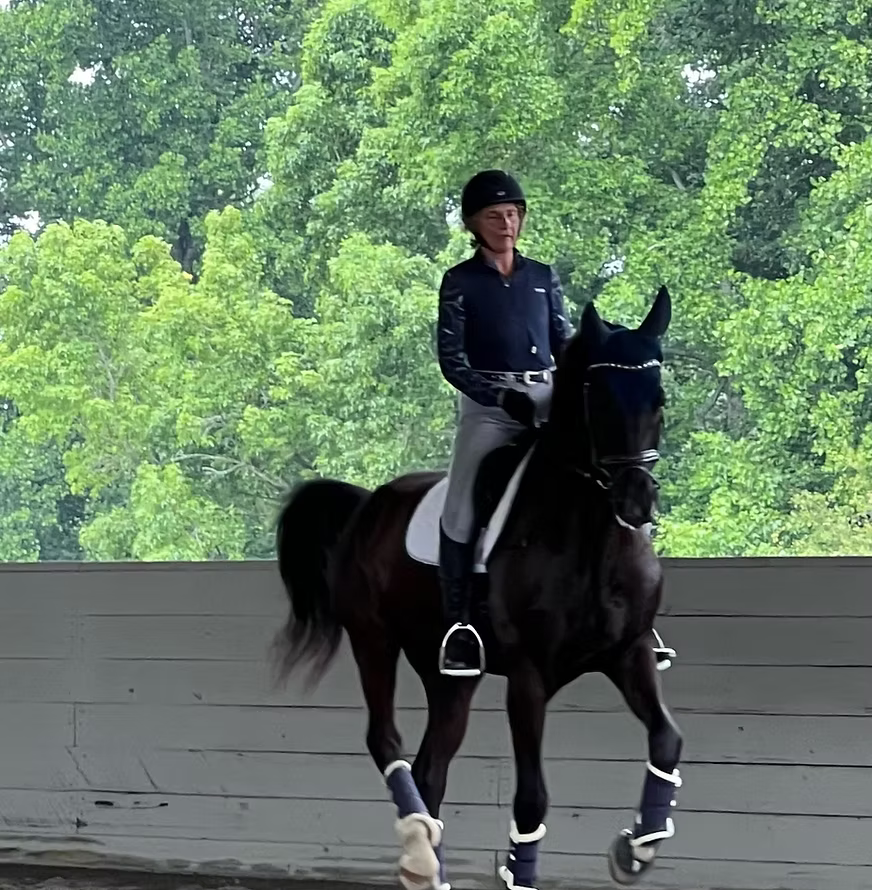 Person riding a horse on a wooden floor with greenery in the background