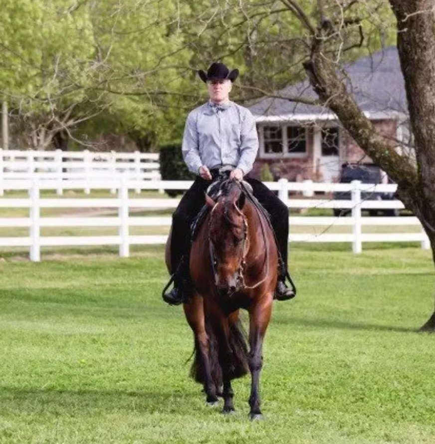 Person riding a horse in an outdoor setting with a white fence and trees in the background