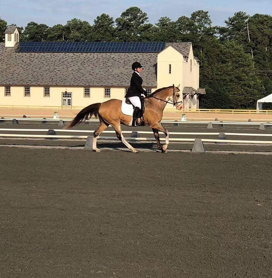 Person riding a horse in an outdoor equestrian arena with buildings and trees in the background.